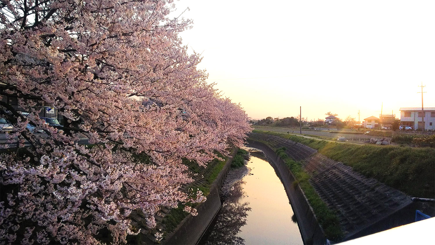 京都市伏見区にて