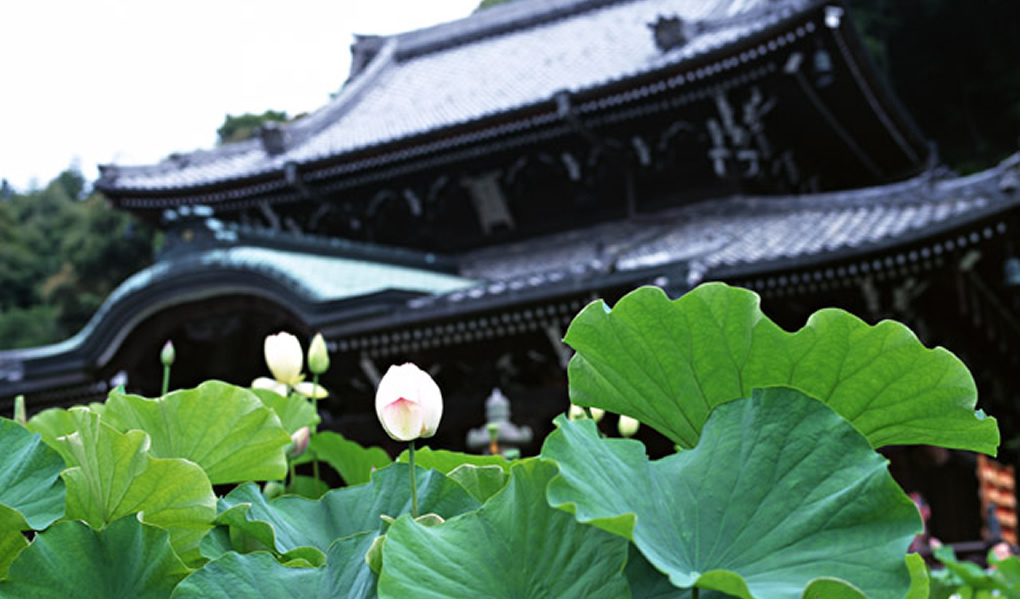 ペット火葬をお考えの霊園の経営者様やお寺のご住職様へ