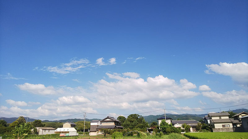 奈良県天理市にて